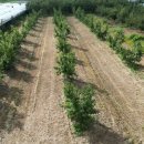 토지한의원 이미지