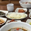 유리네 | 제주 유리네식당 한치물회 솔직후기