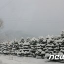 부자농장(정읍) 이미지