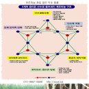 토복령(청미래 덩굴, 망개나무) 새로운 효능 이미지