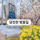 갈산리마을회관 | 2026 당진천 벚꽃길 실시간 개화상황ㅣ당진 드라이브·데이트 코스 추천