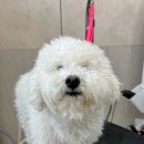 몽심살롱 이미지