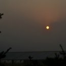 해님축사 티스토리