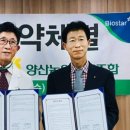 베데스다복음병원 이미지