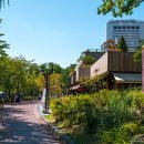 송파나루공원(석촌호수) 이미지