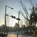 수사랑 동물병원 이미지