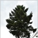 용계리 고분 이미지