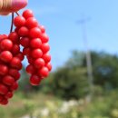 이건농장 이미지