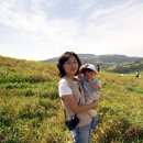 똘똘이목장3 이미지