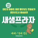 🚦검단신도시 중심상권 대단지 아파트 정문 횡단보도 연결 상가 새샘프라자 매매 / 임대정보