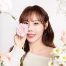 홍대 사진관 희로부터에서 생화 플라워 프로필 촬영한 후기 마포 스튜디오 추천