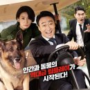 미스터 주 이미지