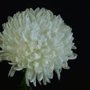 전라남도순천의료원 이미지