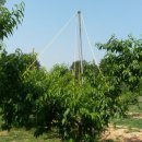 참새골농장 이미지