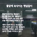 행복스크린
