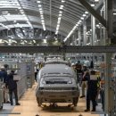 meta plant 이미지