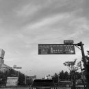 별망초교 사거리 이미지