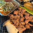 장군집 | 부천 역곡역 야장 가능한 돼지 부속고기 맛집 장군집, 내돈내산 후기