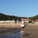 어류정항 인근