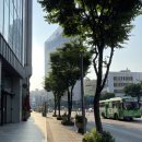 1316. 고려사대부속중고 건너편 | 그 많던 송충이들이 다 없어졌어요. 여름 북한산 산행 2020 06 21