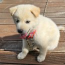 육십령경로당 이미지