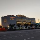 마고플레인 이미지