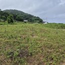 183: 사촌형의 죽음 이미지