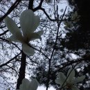 남쪽마을 이미지