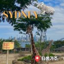 (주)마트퀸 | [시드니 5박 7일] 2일차 :: 최고의 동물원 '타롱가주'/퀸빅토리아빌딩/세인트 메리 대성당