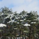 세창아파트 이미지