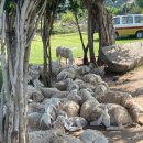 큰마음목장 이미지