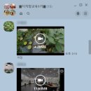 나도유튜브크리에이터 이미지