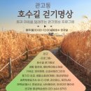 호수길 걷기명상 이미지