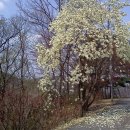 미루상회 이미지