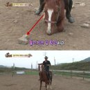진강