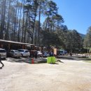 신대륙목장 이미지