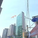 신당역 필라테스 로이필라테스 개인레슨 1,2회차 운동일기 후기 (허리통증,체형교정)