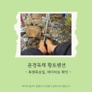 금강송통나무황토집 | [문경계곡 황토펜션] 숙면, 시원함의 비밀