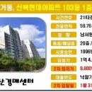 신정로(북측) 네이버블로그