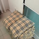 애인당구장 | 가평 펜션 추천 스파 수영장 바베큐 가성비 최고 가평 실내수영장 온수 무료 펜션