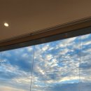 맹그로브 고성 이미지