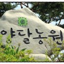 양달캠핑장 이미지