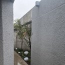 오션브릿지 펜션 초록동 | 제주도 감성 숙소 금능해수욕장 근처 하뭇 제주 독채 숙박후기