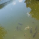 서현의료기 이미지