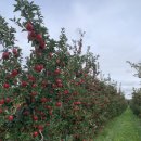 원베일리부동산공인중개사사무소 이미지