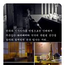 싱싱참치 이미지