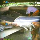 병선농장 이미지