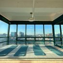 모란모란 이미지