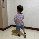 반스 토들러 어센틱 후기(추천 유무)