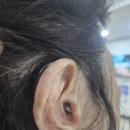 군산중앙유치원 | 군산보청기 - 👂 오티콘 모어1 착용 후기“교육 시간에도 말소리가 또렷하게 들려요”